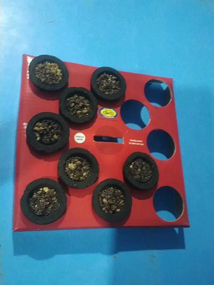 OGU Pack Of 24 Pcs. Sambrani Loban Dhoop Cups