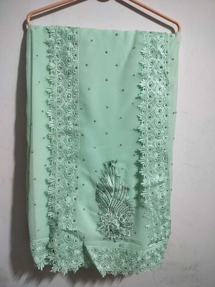 Stunning Pastel Green Embellished Saree