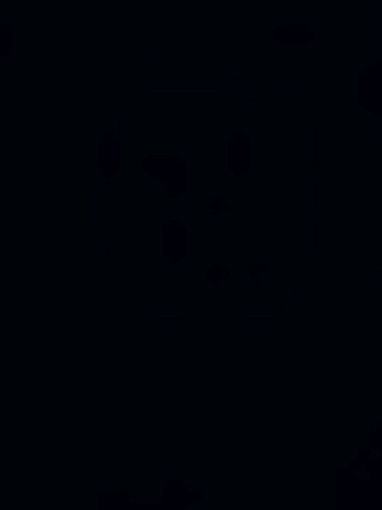 Test T1