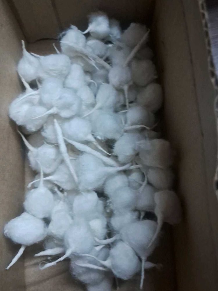 cotton wick रुई के बाटी 100 pc
