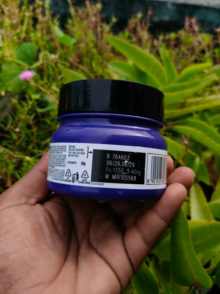 Vibrant Purple Hair Colour