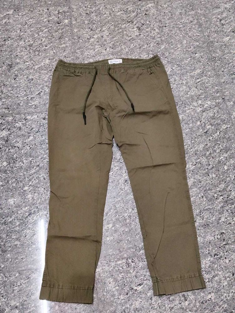 Men's Olive Green jogger Pants