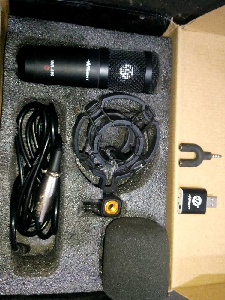 WR BW 800 condenser microphone