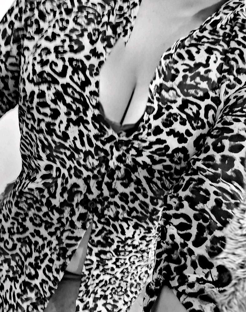 Animal Print Mini Dress