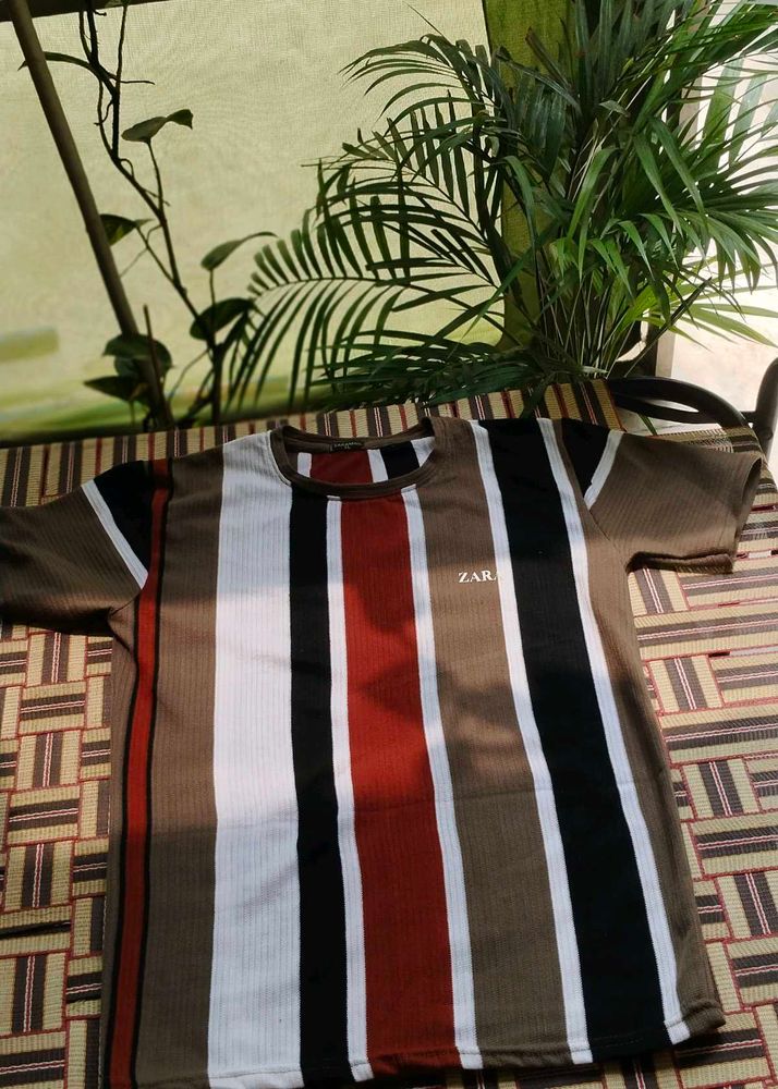 Striped T-Shirt - ZARA Brand