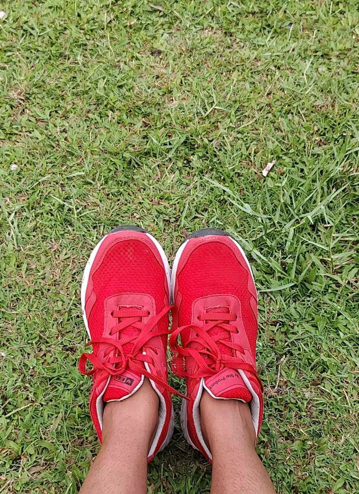 Sega Running shoes new
