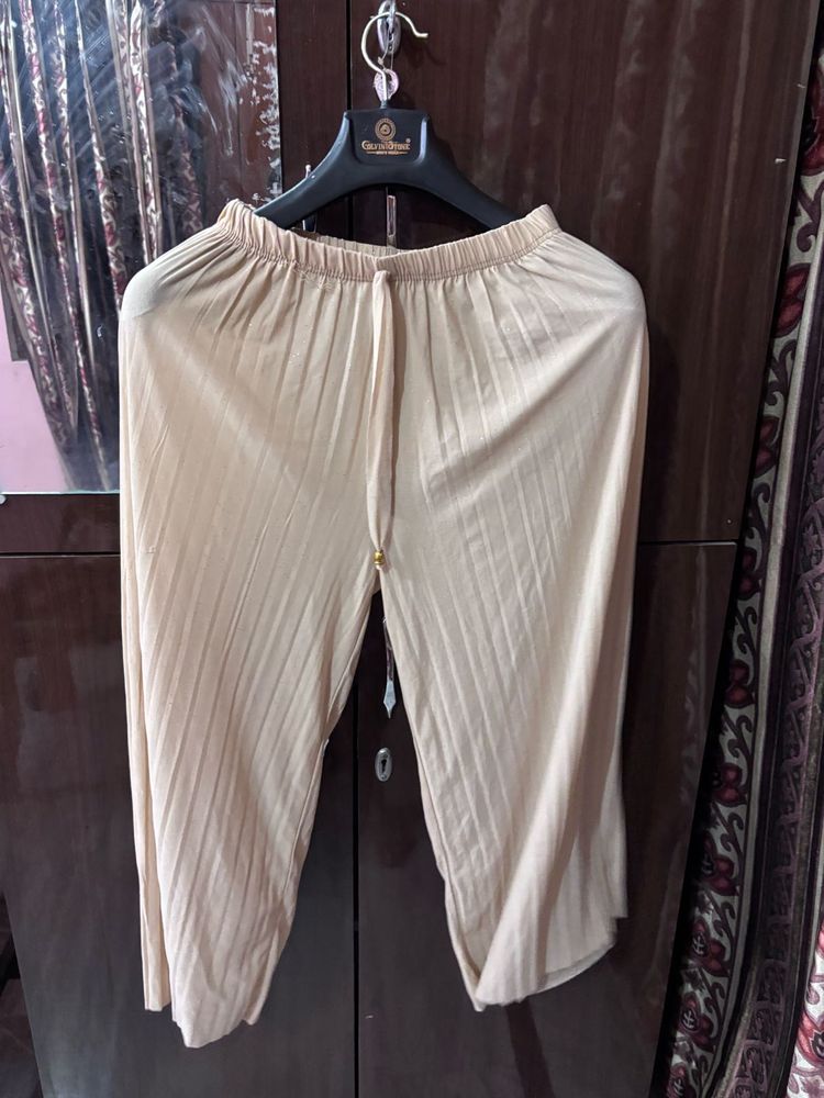 Comfortable Beige Palazzos