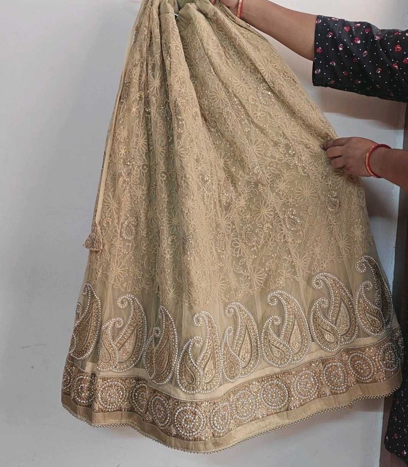 todays Offer - wedding lehenga with 2 blouse