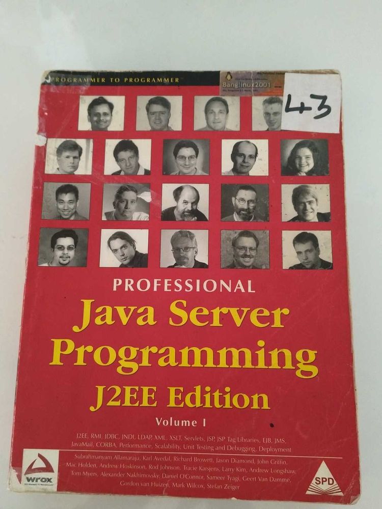 Professional Java Server Programming
