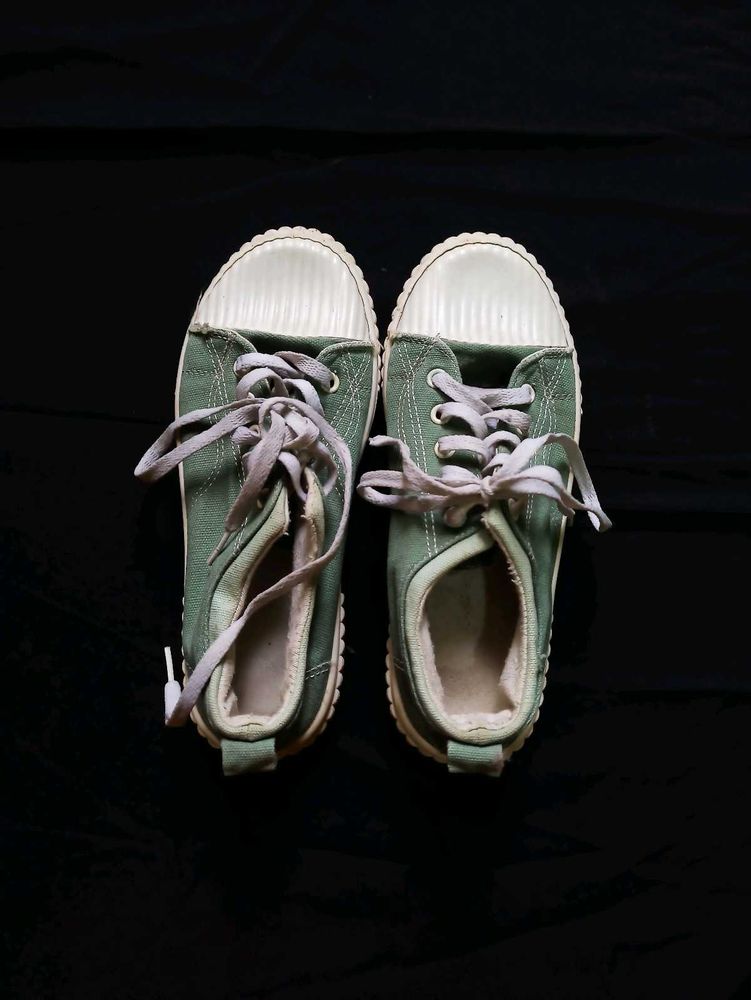 Olive Green Canvas