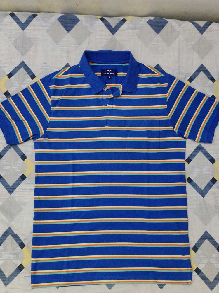 Blue Striped Polo T-Shirt