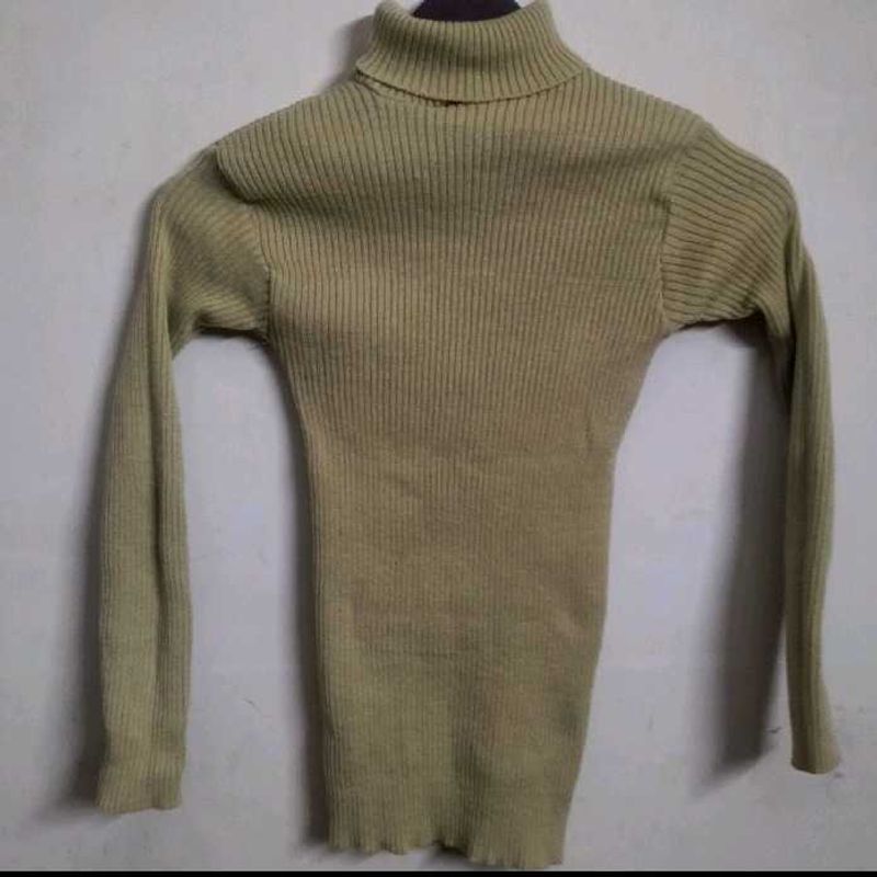 Ribbed Turtleneck Sweater
