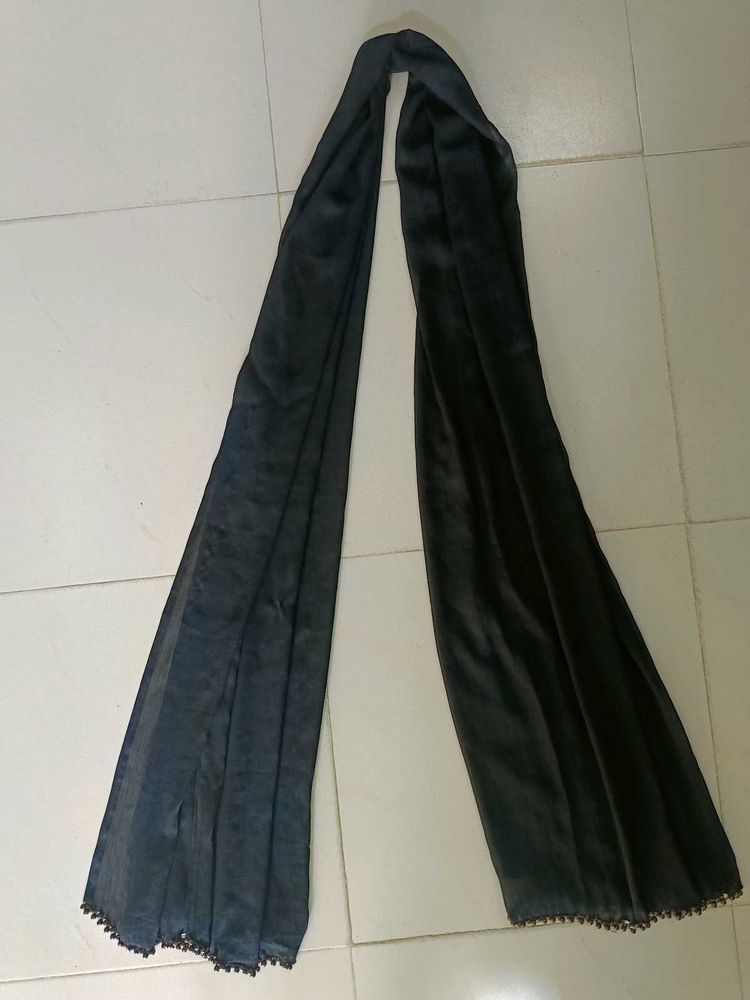 Elegant Black Dupatto