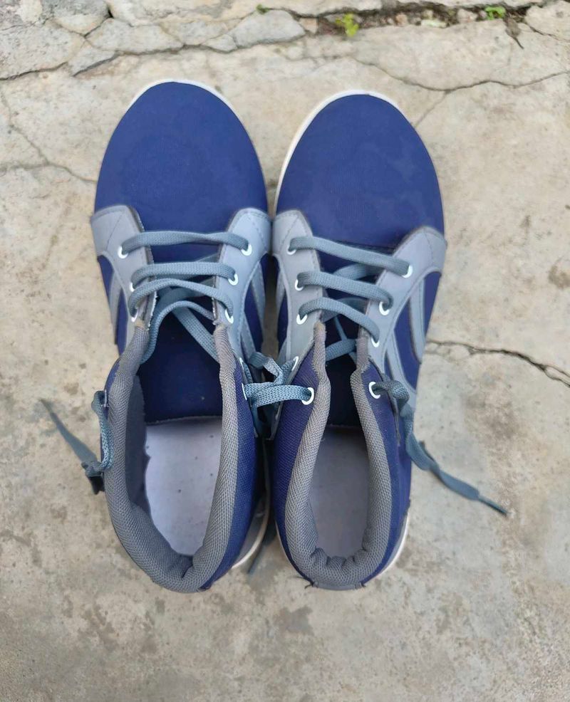 Sneakers for Men (Blue) ।। SIZE : UK 12