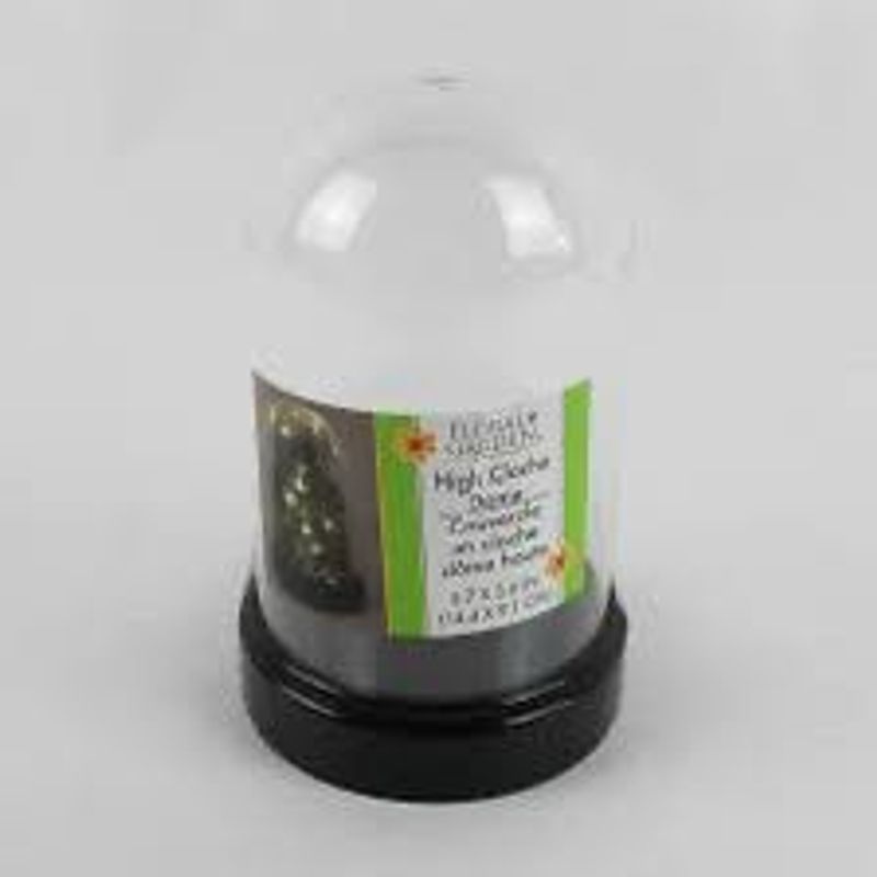 Decorative High Globe