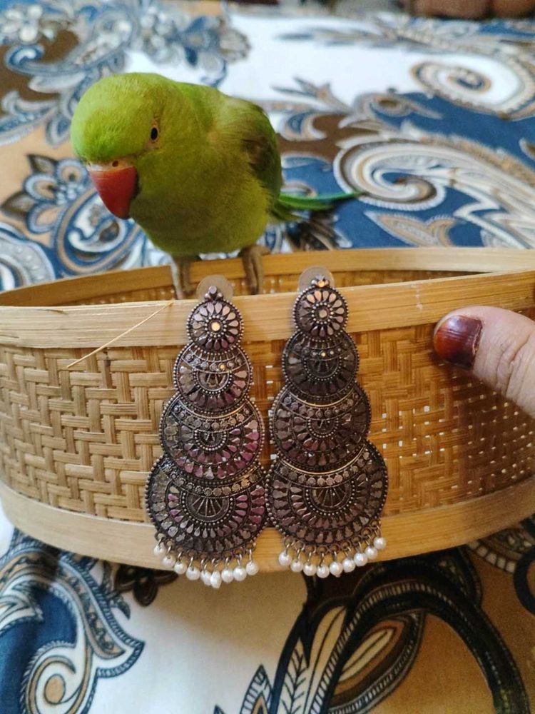 Oxidized Silver Jhumka Earrings