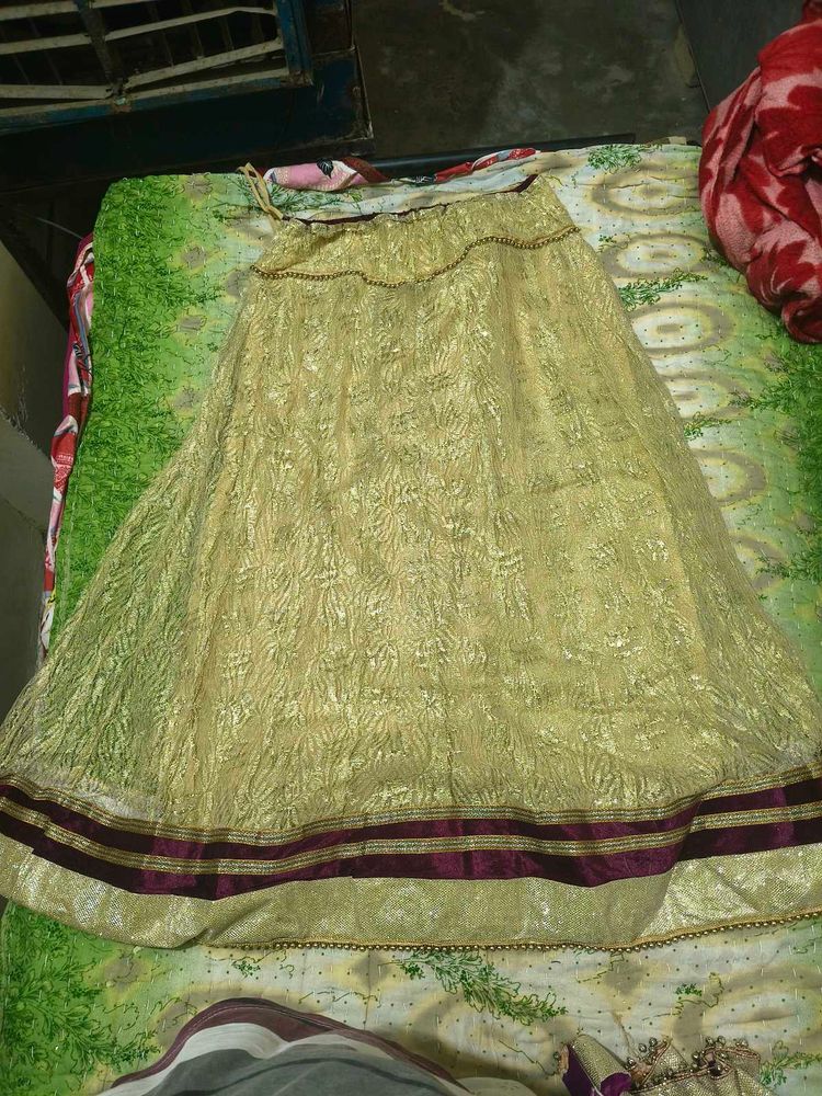 Elegant lahenga with Embellishments