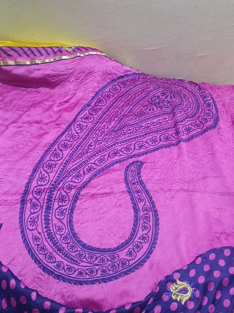 Pink Paisley Saree With stiched blouse-32