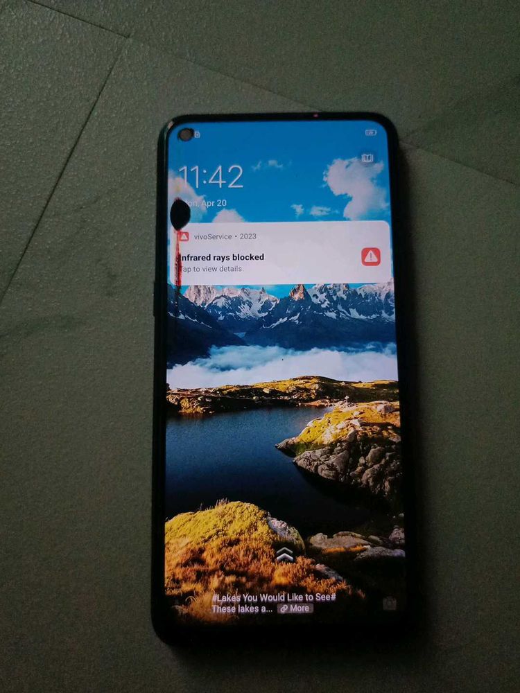 vivo