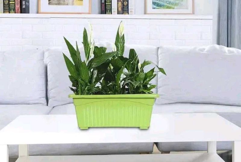 Graceful flower pots
