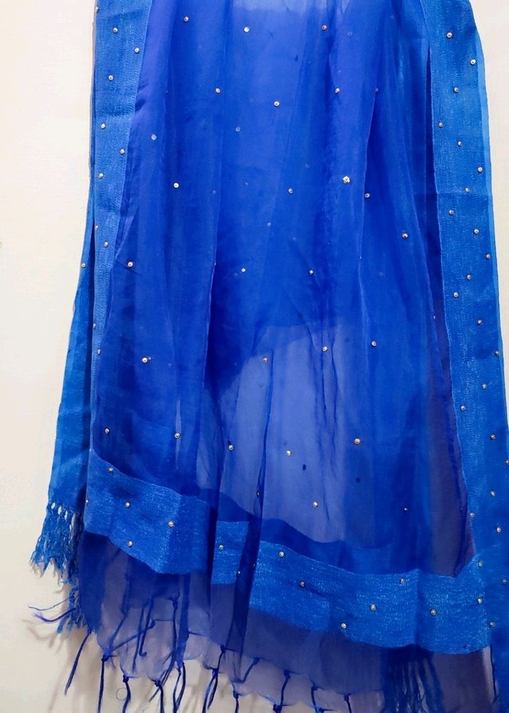 Beautiful Blue Net Dupatta