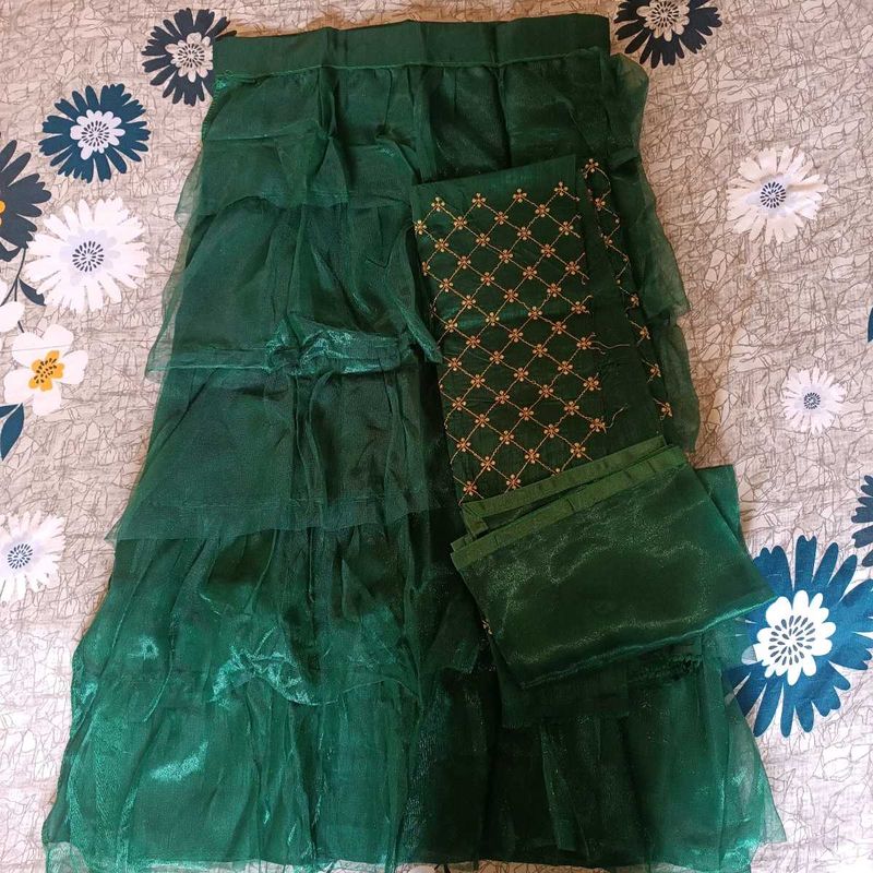 Elegant Green Chaniya Choli with Intricate Embroid