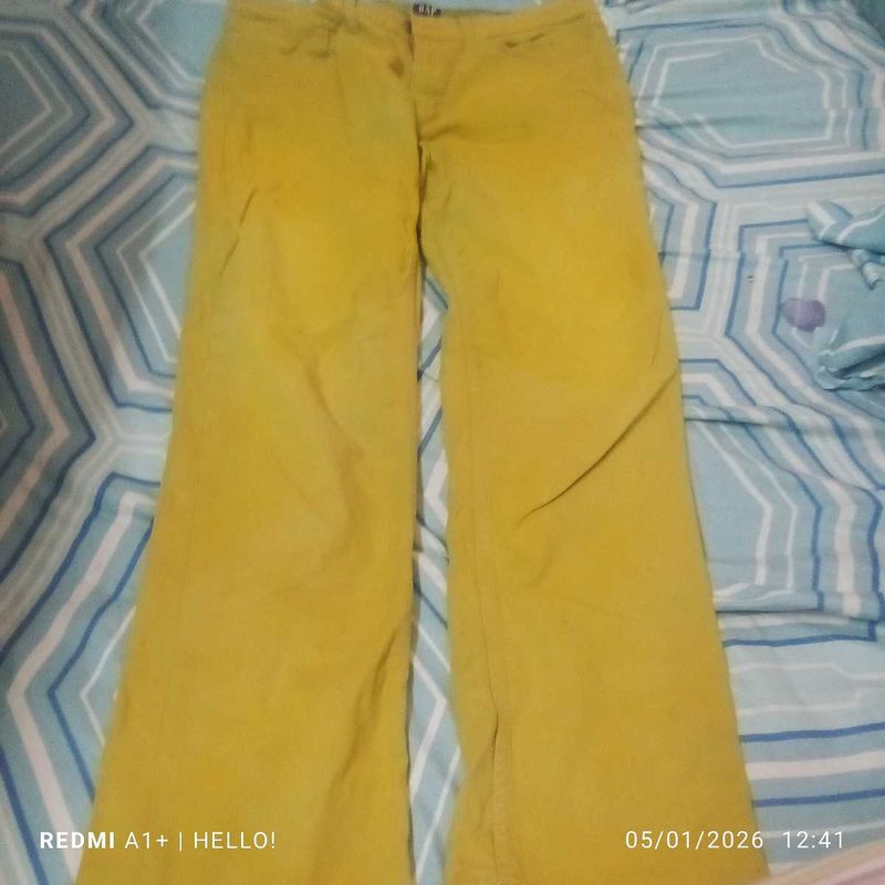 branded pant for men