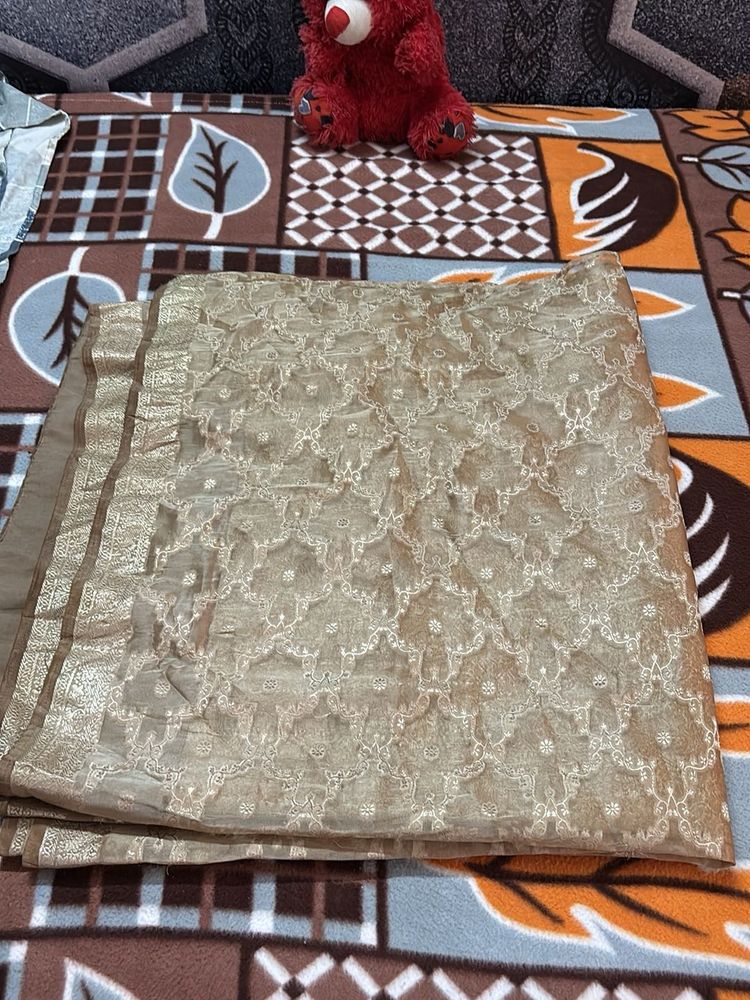 Elegant Embroidered Dupatta