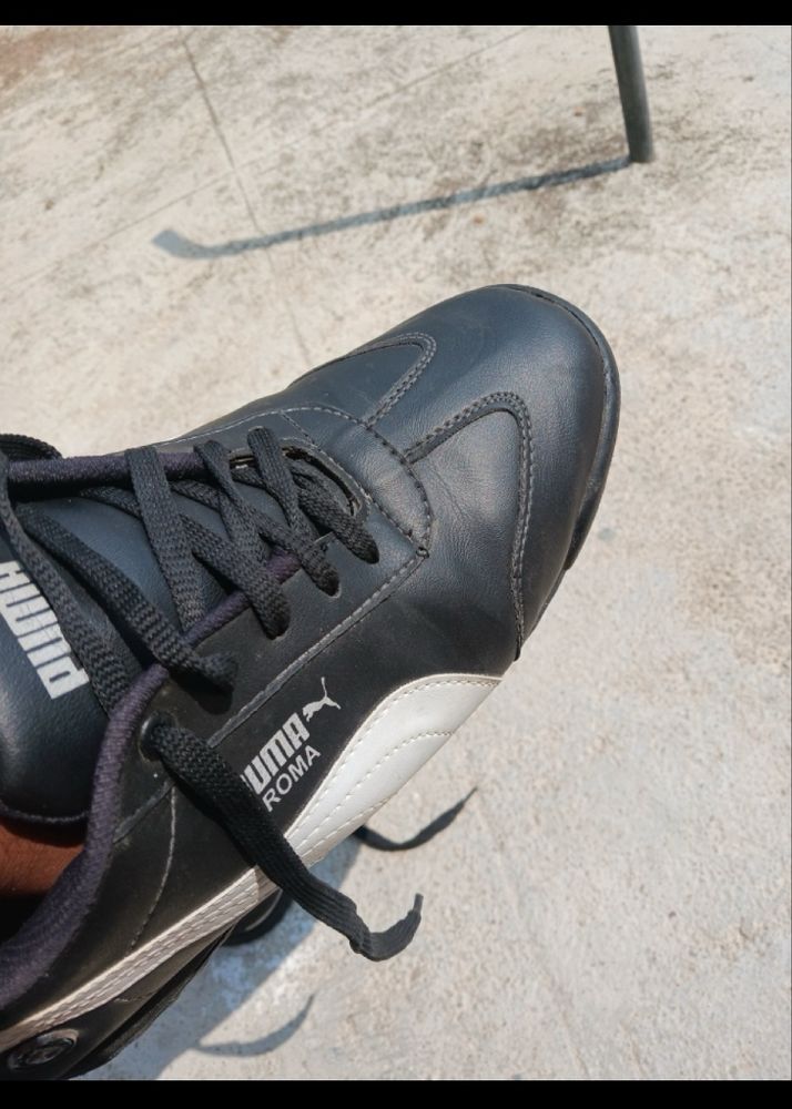Puma Roma BMW 1st Copy