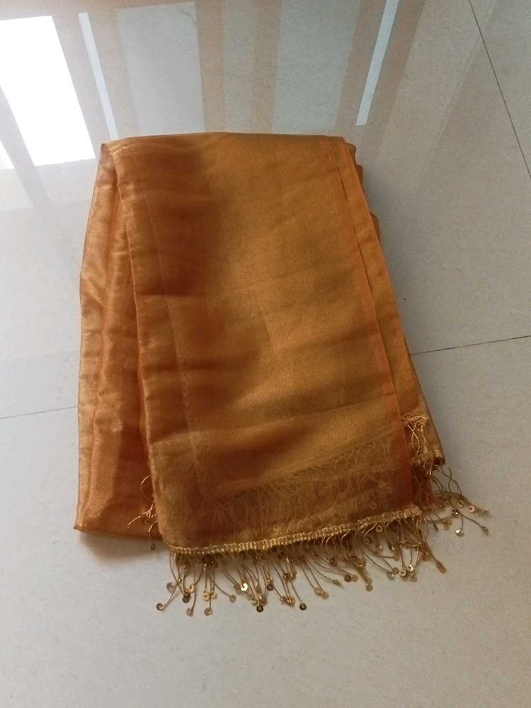 Golden Sequined Dupatta