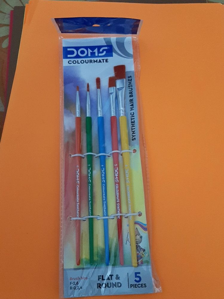 Doms Colourmate Round Brushes Set Of 5