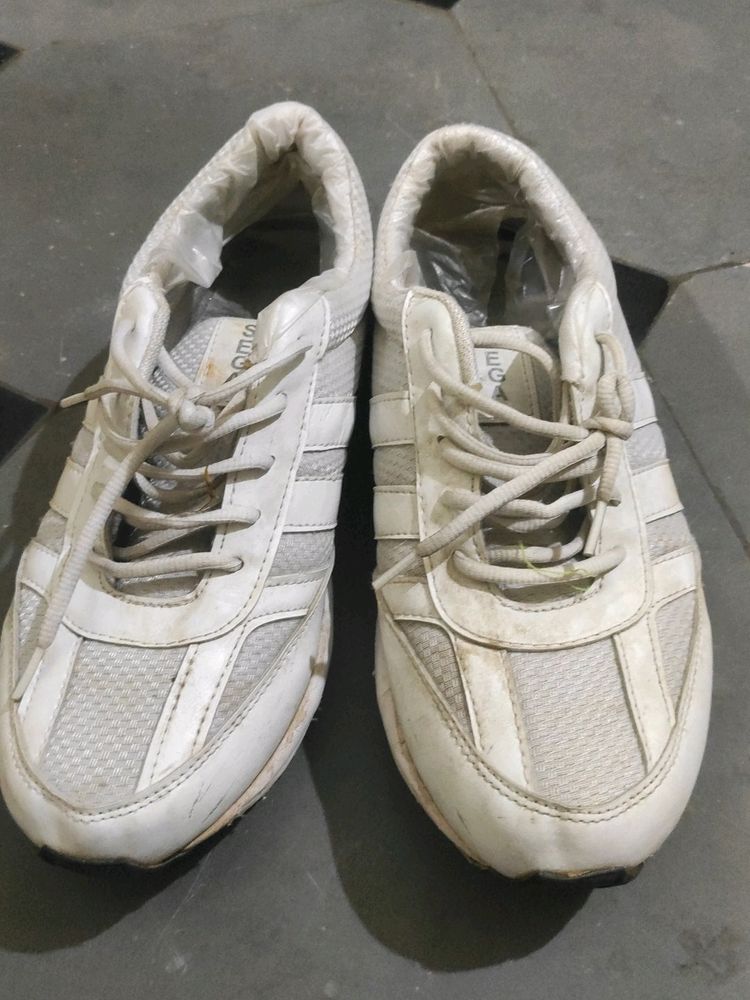 Branded White Sports Shoes For Mens
