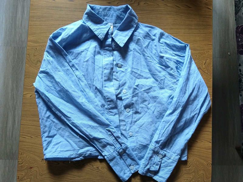 Blue Striped Button-Up Shirt (slightly cropped)