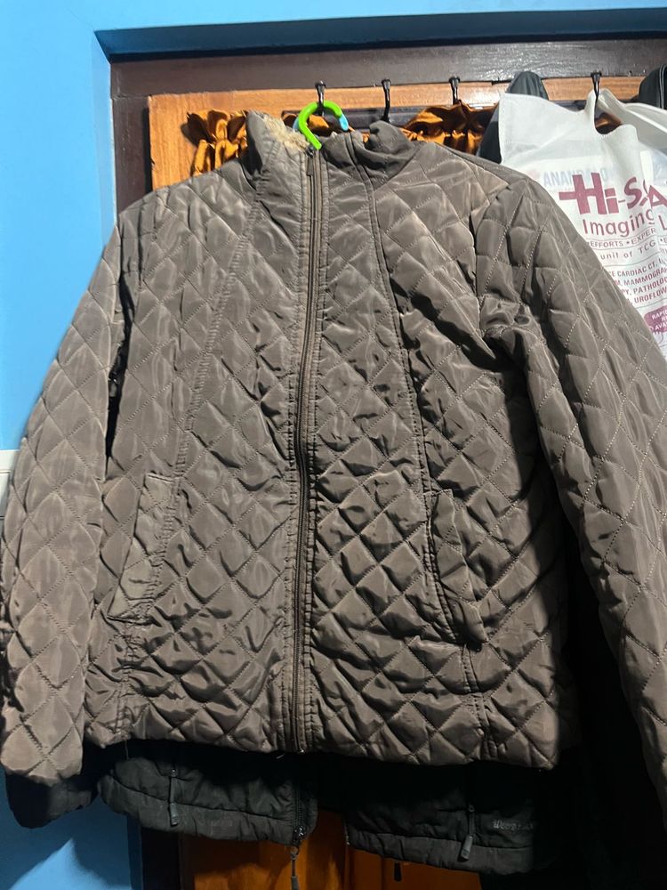 Quilted Jacket No Discount