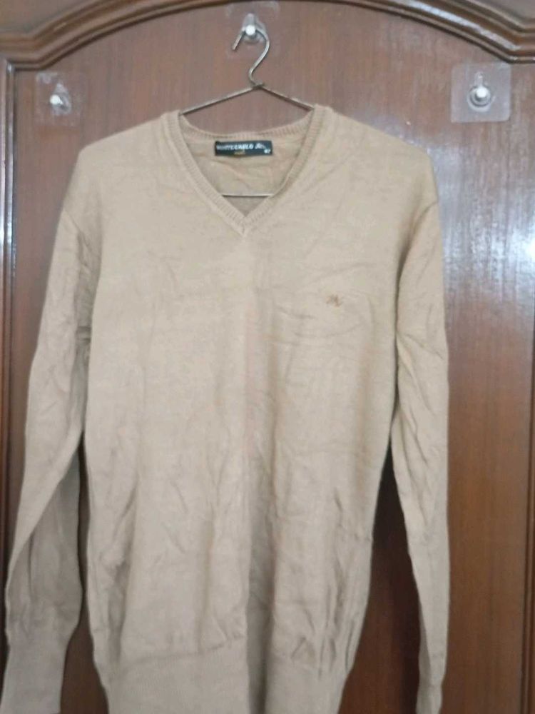 Men's Beige V-Neck Sweater