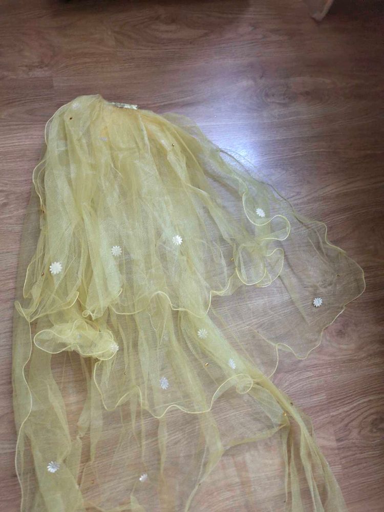 Elegant Golden veil with Floral Embellishments