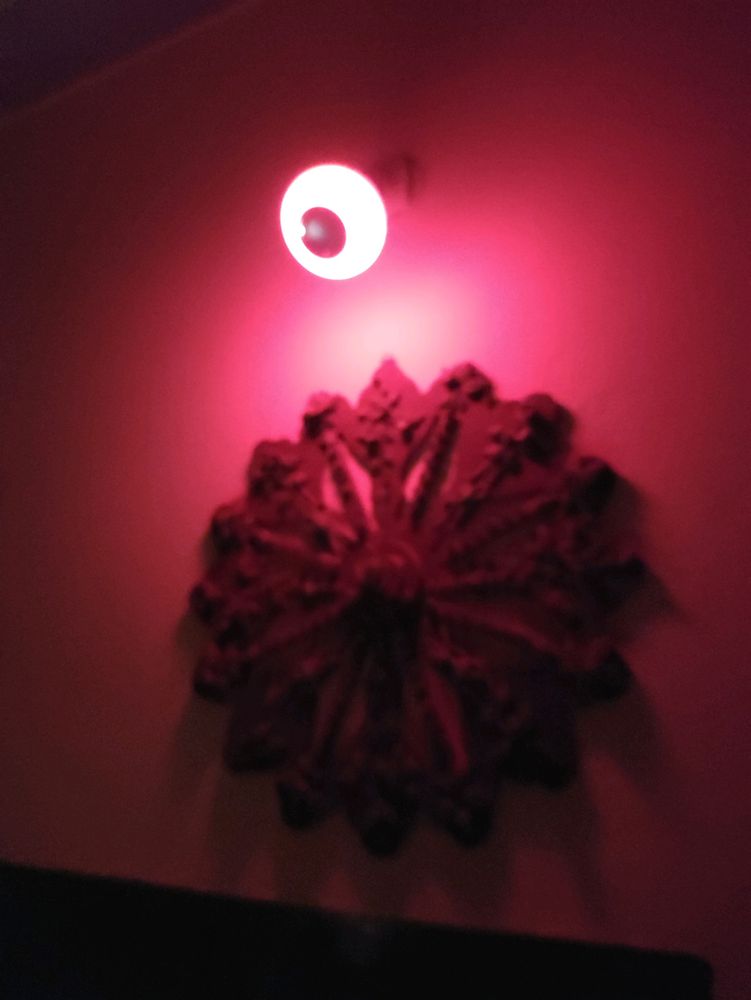 LED MUSIC BULB
