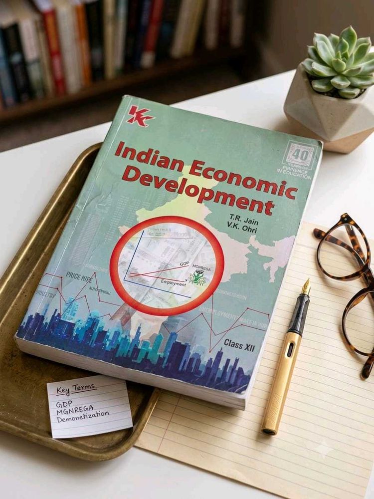 Indian Economic Development Class XII Book