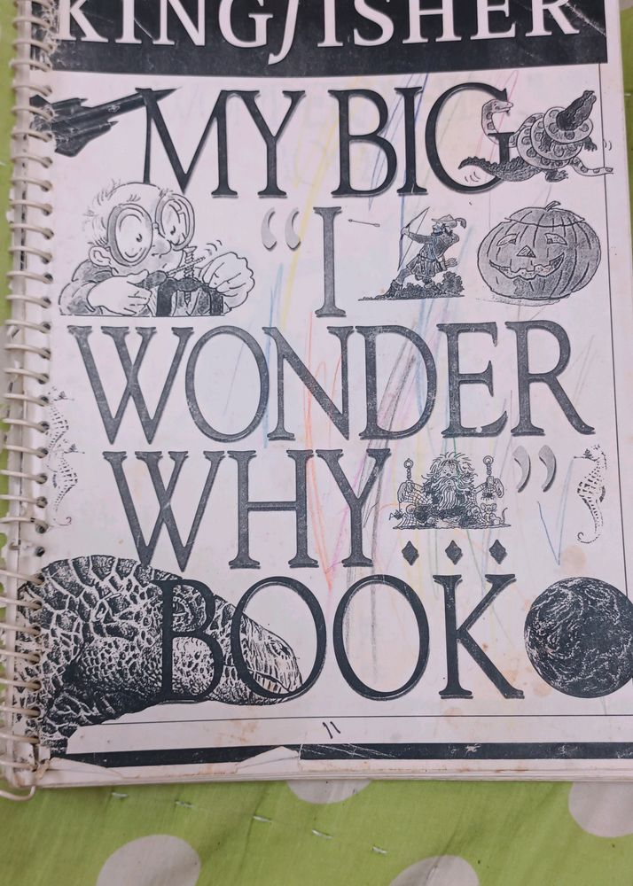 I Wonder why Book