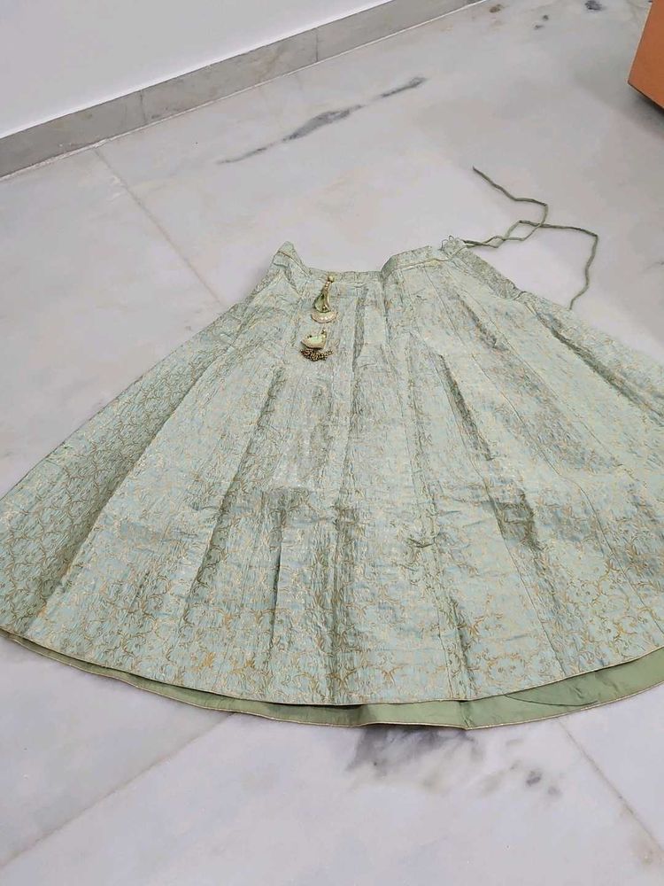 Elegant Ethnic Skirt