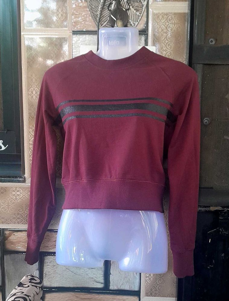 Women Wine Coloured Sweat-Shirt