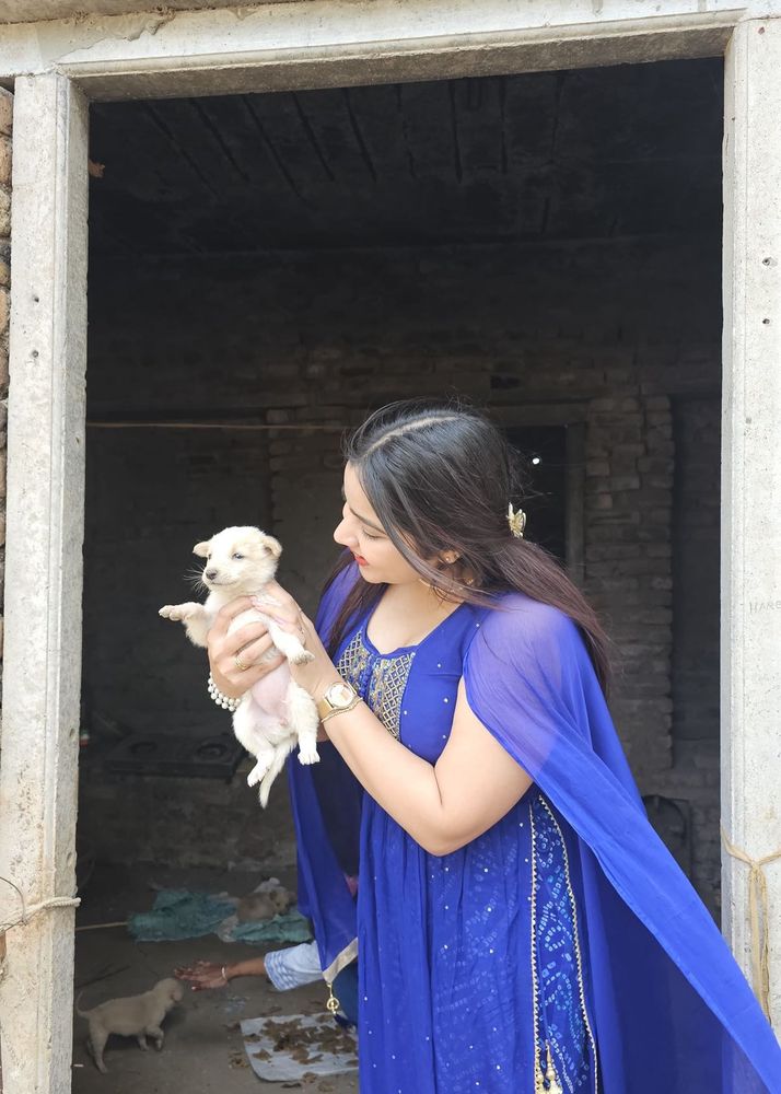 blue bandhani kurta set with duppatta and salwar