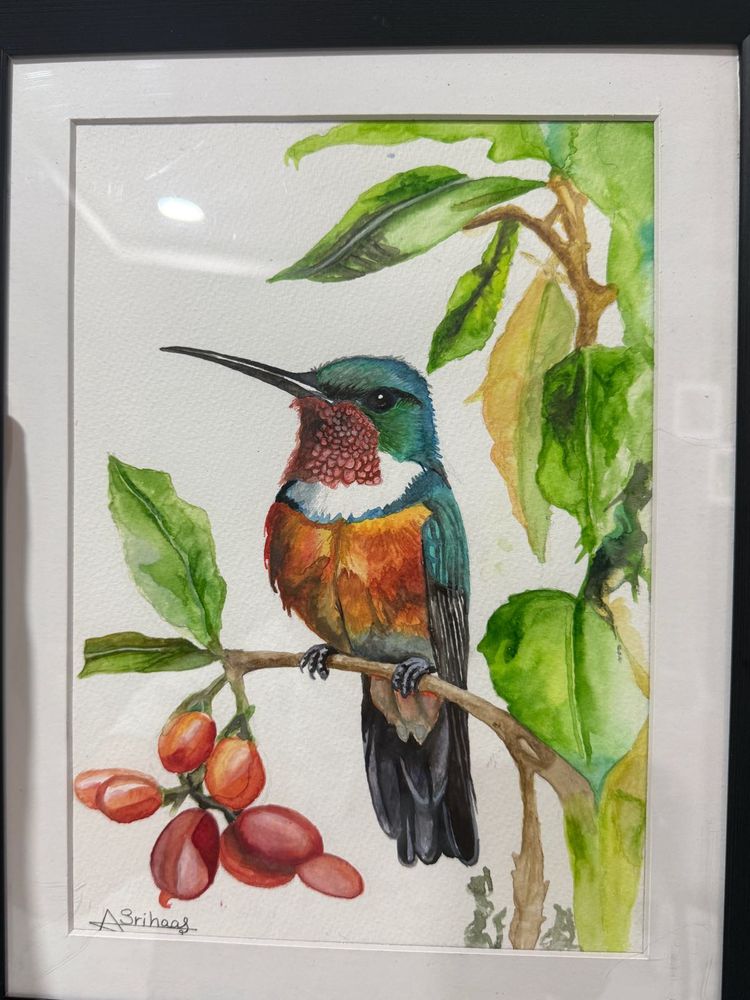Watercolor Canvas Painting Hummingbird