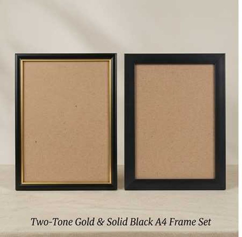 Set of 2 blank A4 size frames