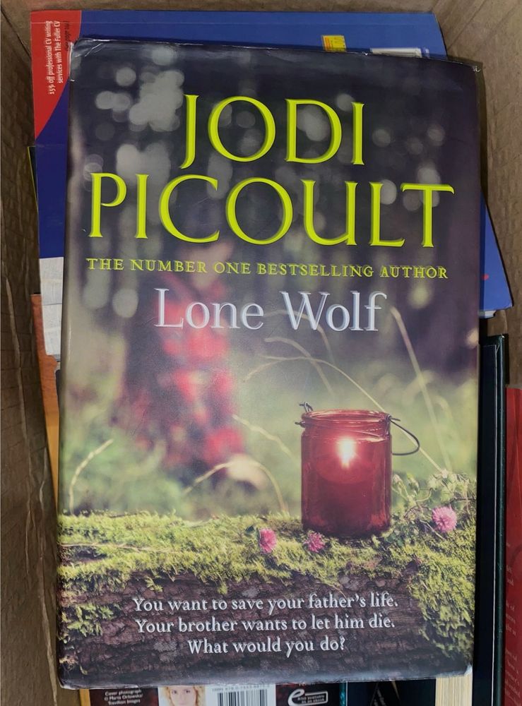 Jodi Picoult - Lone Wolf