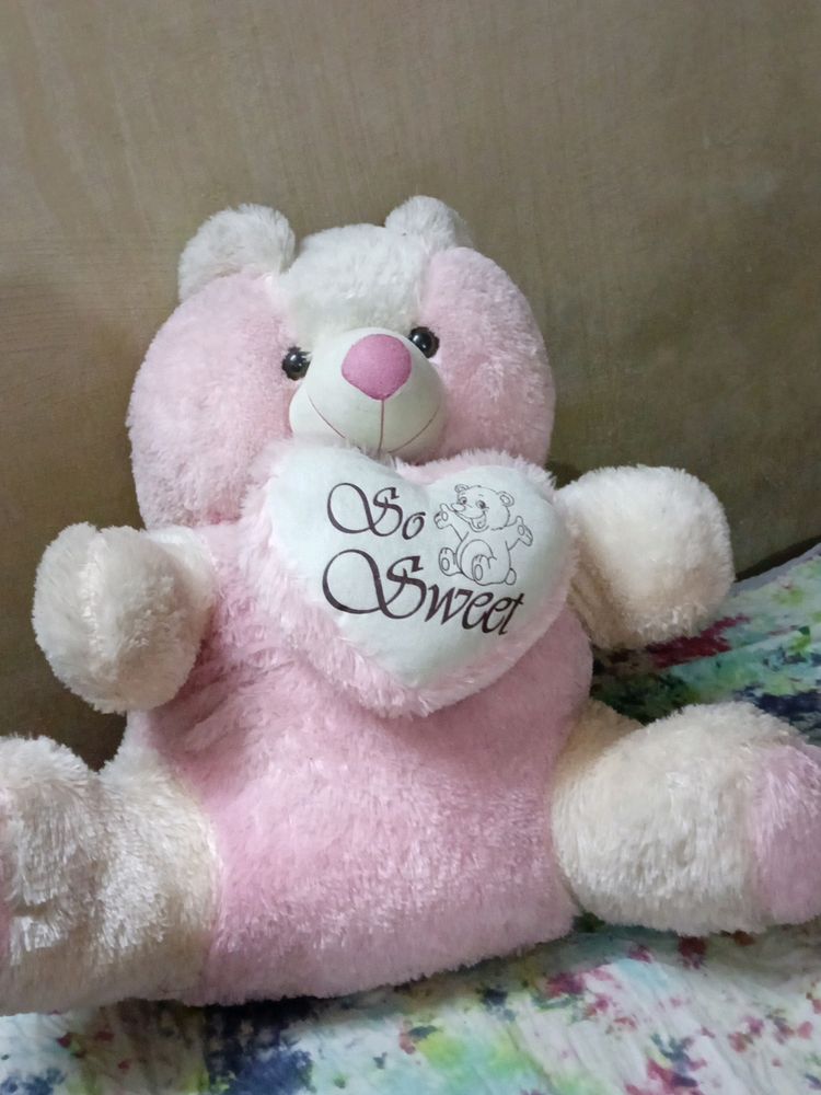 Teddy Bear