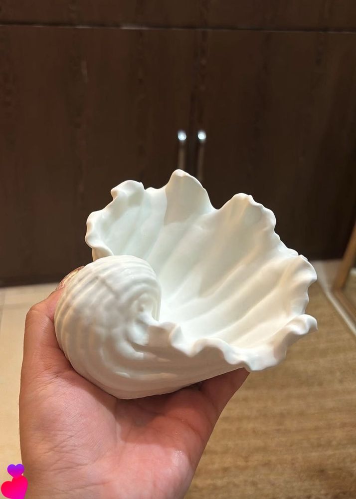 Seashell Decor