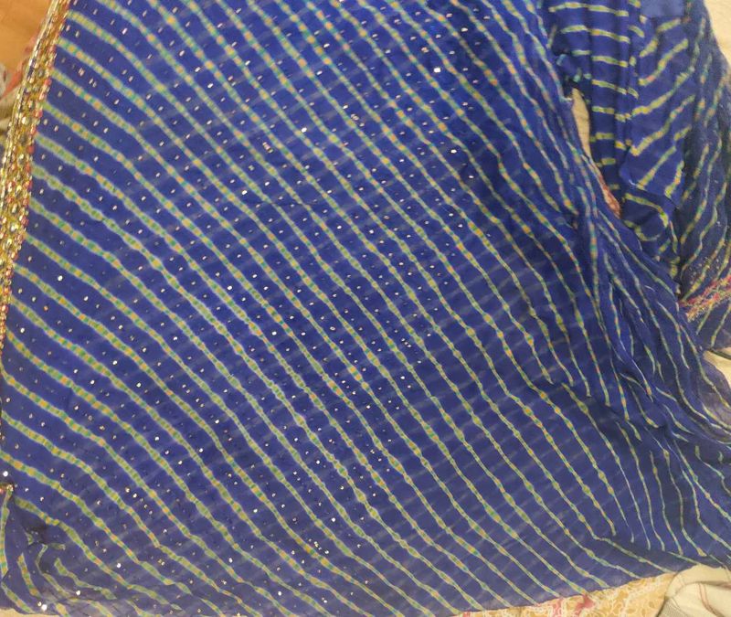 Elegant Blue Saree with Sequins