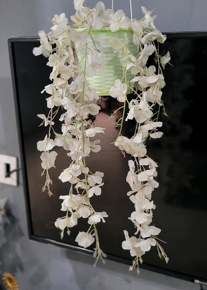 Set 3 Hanging White &amp; Pink Flowers &amp; Pot