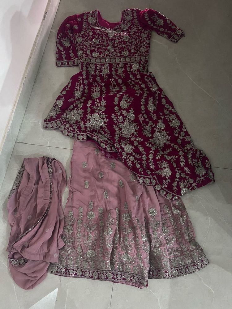 sharara suit